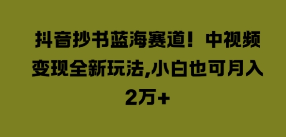 抖音抄书蓝海赛道，中视频变现全新玩法，小白也可月入2W+|赚多多