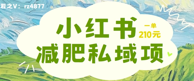 小红书减肥粉，私域变现项目，一单就达210元，小白也能轻松上手【揭秘】|赚多多