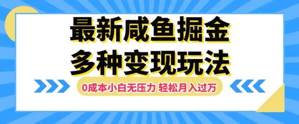 最新咸鱼掘金玩法，0成本小白无压力，多种变现方式，轻松月入过W|赚多多