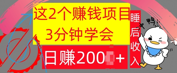 这2个项目，3分钟学会，日赚几张，懒人捡钱|赚多多