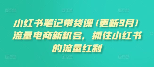 小红书笔记带货课(更新9月)流量电商新机会，抓住小红书的流量红利|赚多多