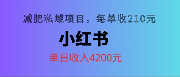 小红书减肥私域项目，每单210元，单日可卖出15单，利润3150|赚多多