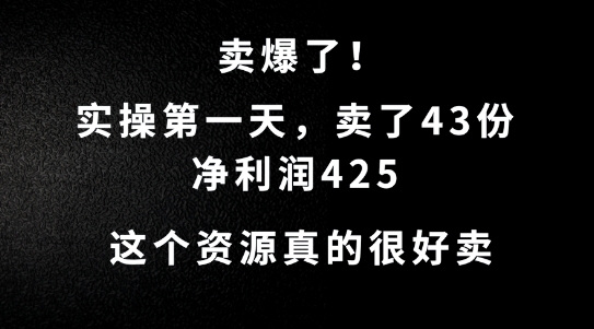 这个资源，需求很大，实操第一天卖了43份，净利润425【揭秘】|赚多多