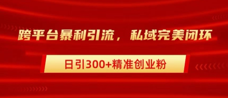 跨平台暴力引流，私域完美闭环，日引100+精准创业粉|赚多多