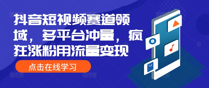 抖音短视频赛道领域，多平台冲量，疯狂涨粉用流量变现|赚多多