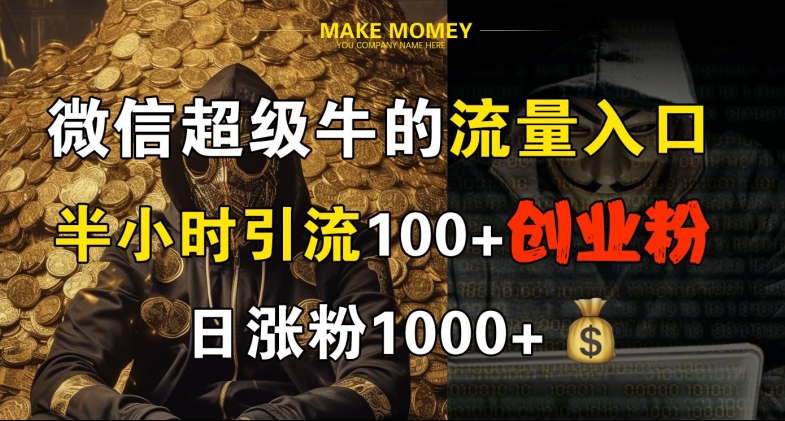 微信超级牛的流量入口，半小时引流100+创业粉，日涨粉1000+|赚多多