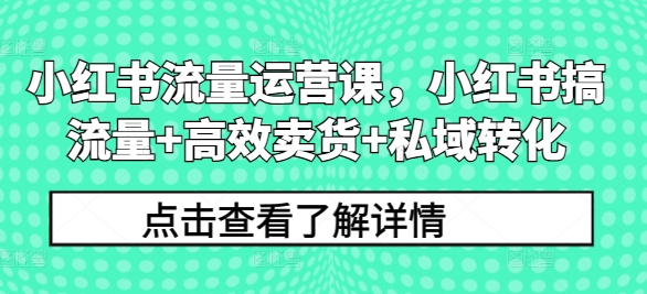 小红书流量运营课，小红书搞流量+高效卖货+私域转化|赚多多