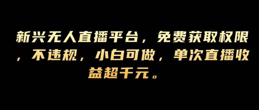 新兴无人直播平台，免费获取权限，不违规，小白可做，单次直播收益超千元|赚多多