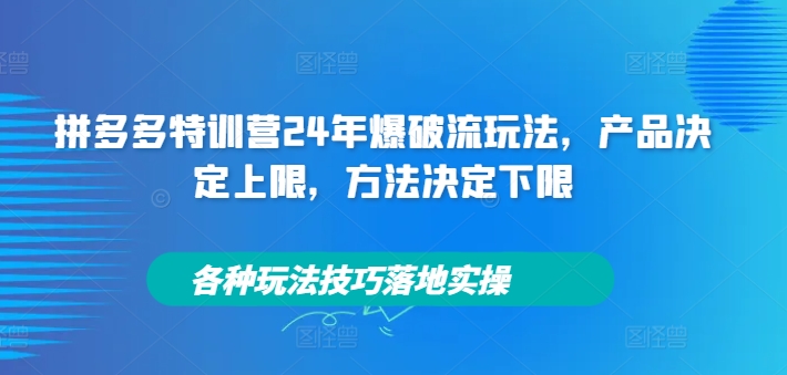 拼多多特训营24年爆破流玩法，产品决定上限，方法决定下限，各种玩法技巧落地实操|赚多多