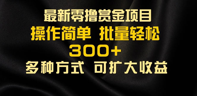 2024最新零撸赏金项目，无需养机，直接上手操作 ，单机收益30+，适合批量放大|赚多多