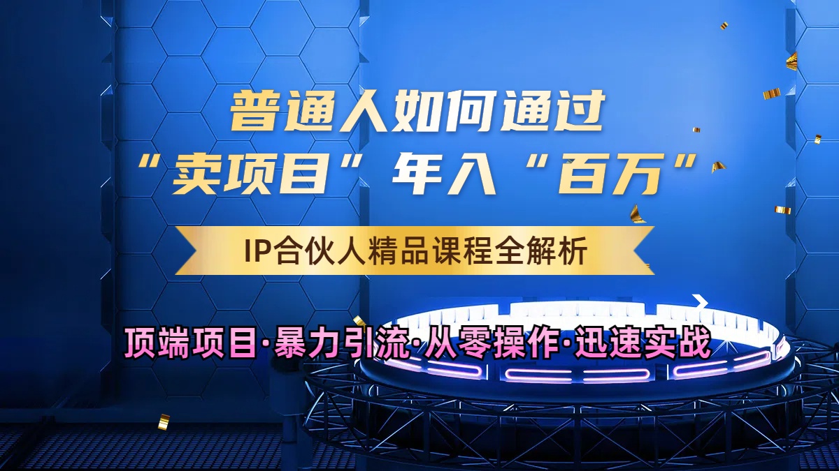 2024年如何通过知识付费“卖项目”年入“百W”，卖项目合伙人IP孵化训练营|赚多多