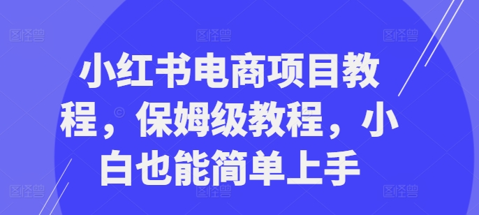 小红书电商项目教程，保姆级教程，小白也能简单上手|赚多多