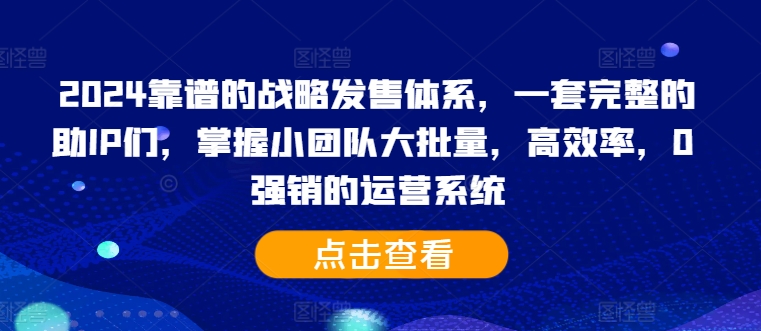 2024靠谱的战略发售体系，一套完整的助IP们，掌握小团队大批量，高效率，0 强销的运营系统|赚多多