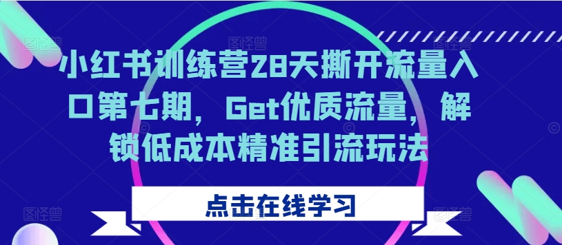 小红书训练营28天撕开流量入口第七期，Get优质流量，解锁低成本精准引流玩法|赚多多