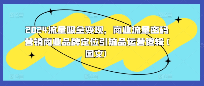 2024流量吸金变现，商业流量密码营销商业品牌定位引流品运营逻辑(图文)|赚多多