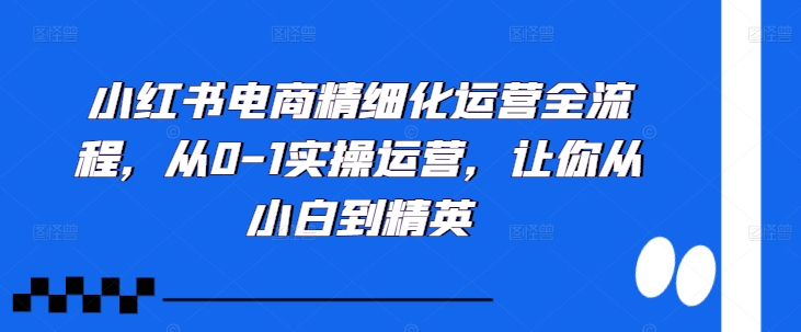 小红书电商精细化运营全流程，从0-1实操运营，让你从小白到精英|赚多多