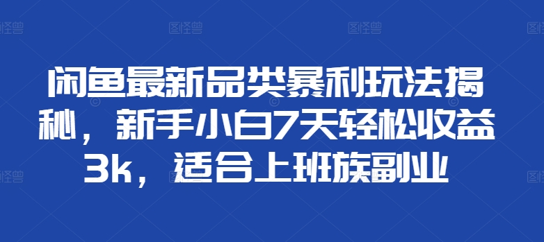 闲鱼最新品类暴利玩法揭秘，新手小白7天轻松收益3k，适合上班族副业|赚多多