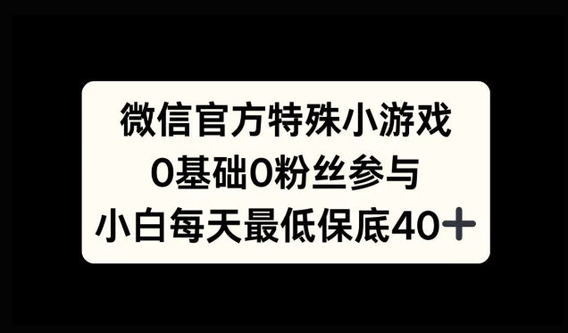 微信官方特定小游戏，0基础0粉丝，小白上手每天最少保底40+|赚多多