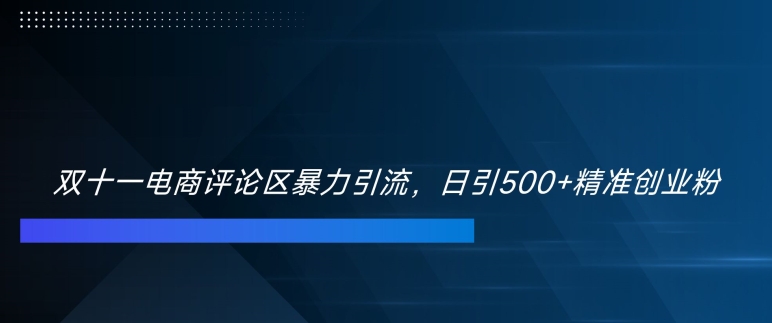 双十一电商评论区暴力引流，日引500+精准创业粉【揭秘】|赚多多