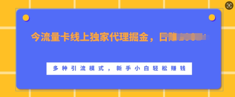 流量卡线上独家代理掘金，日入1k+ ，多种引流模式，新手小白轻松上手【揭秘】|赚多多