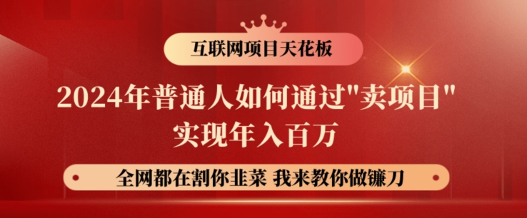 2024年普通人如何通过”卖项目”实现年入百万|赚多多