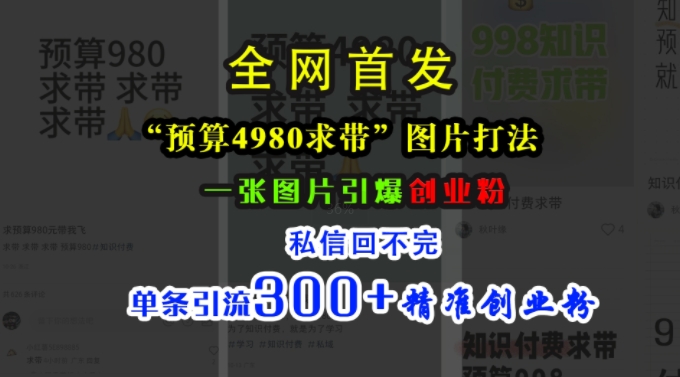 小红书“预算4980带我飞”图片打法，一张图片引爆创业粉，私信回不完，单条引流300+精准创业粉|赚多多