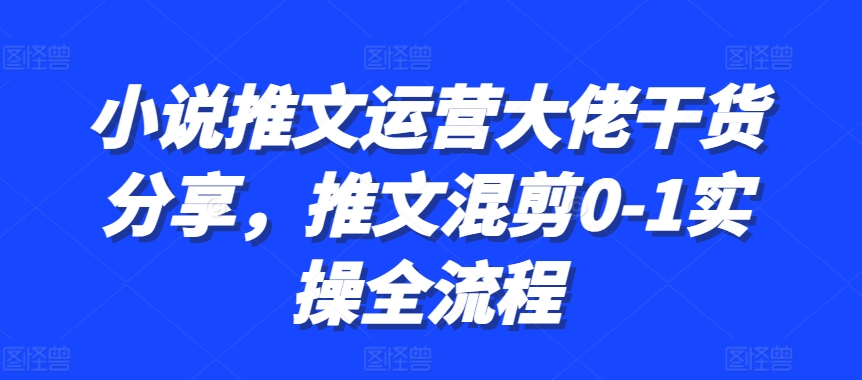 小说推文运营大佬干货分享，推文混剪0-1实操全流程|赚多多